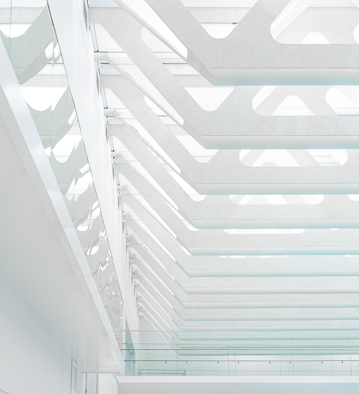 Wood trusses at the Guildford Aquatic Centre