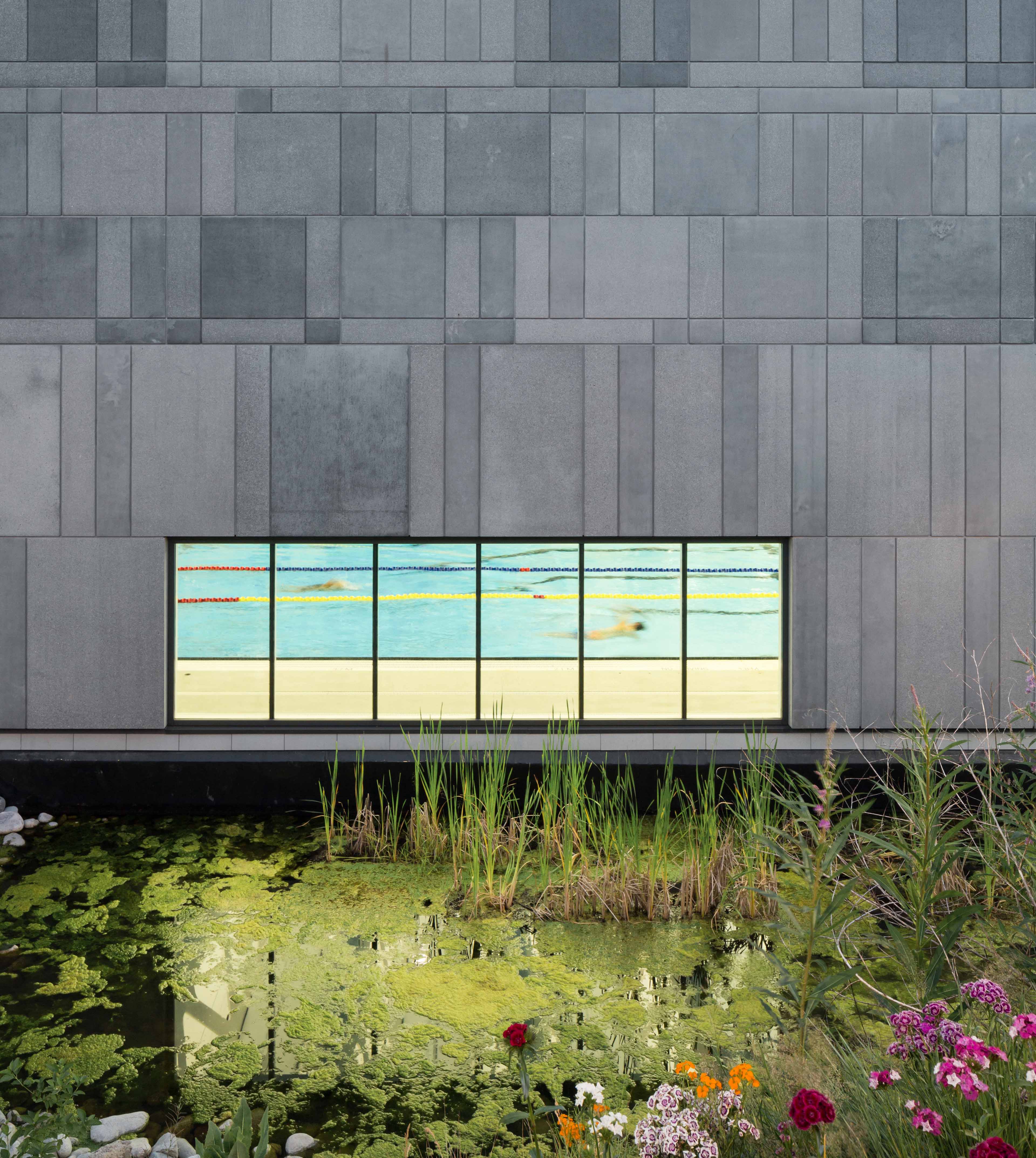 Facade and wetland pond landscaping