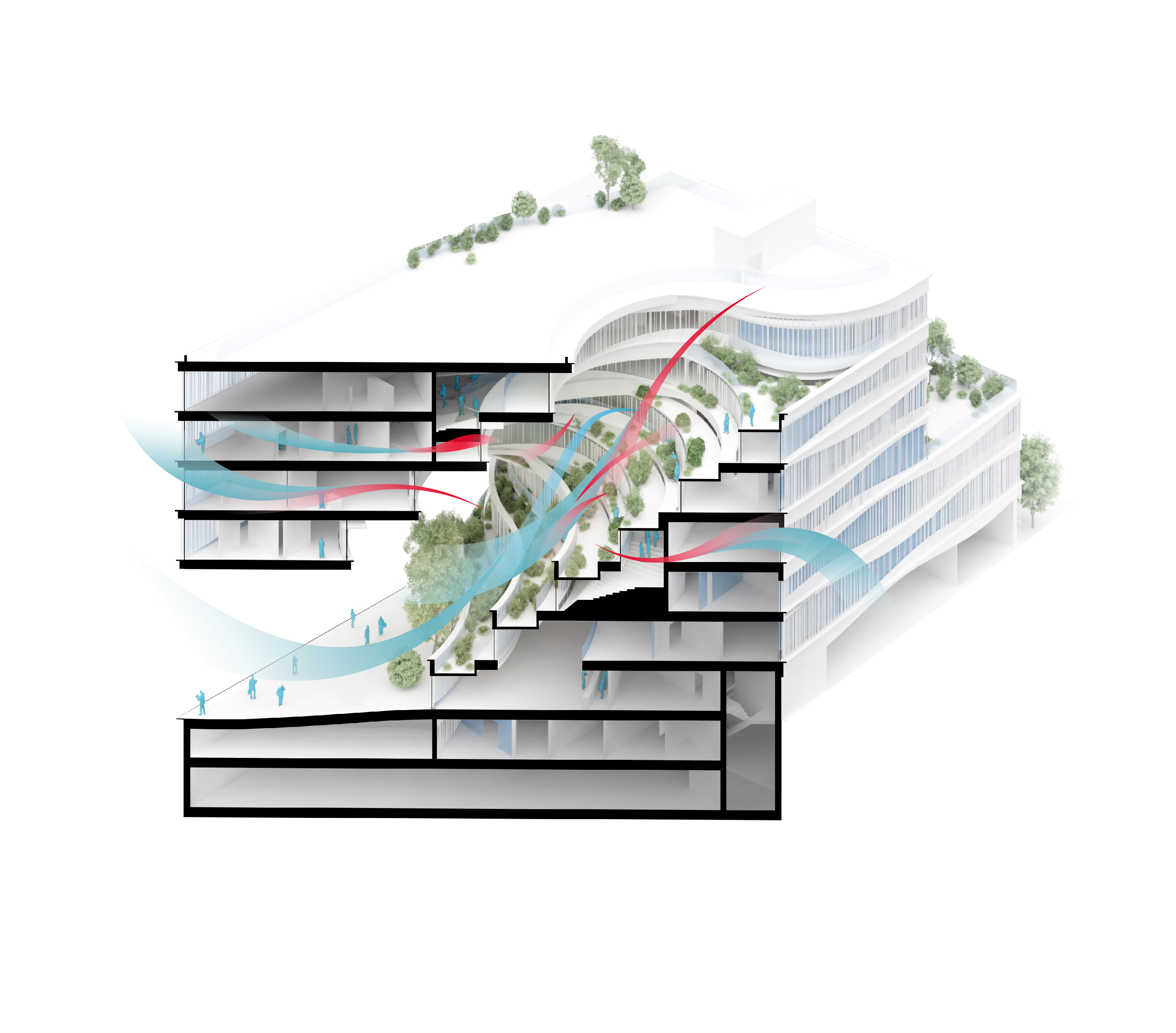 Section showing airflow