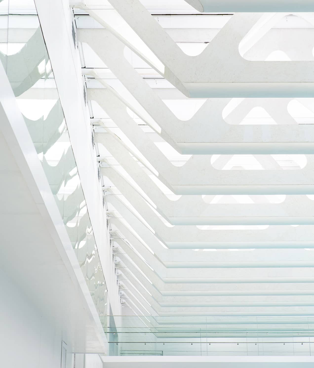 Roof trusses at Guildford Aquatic Centre in Surrey